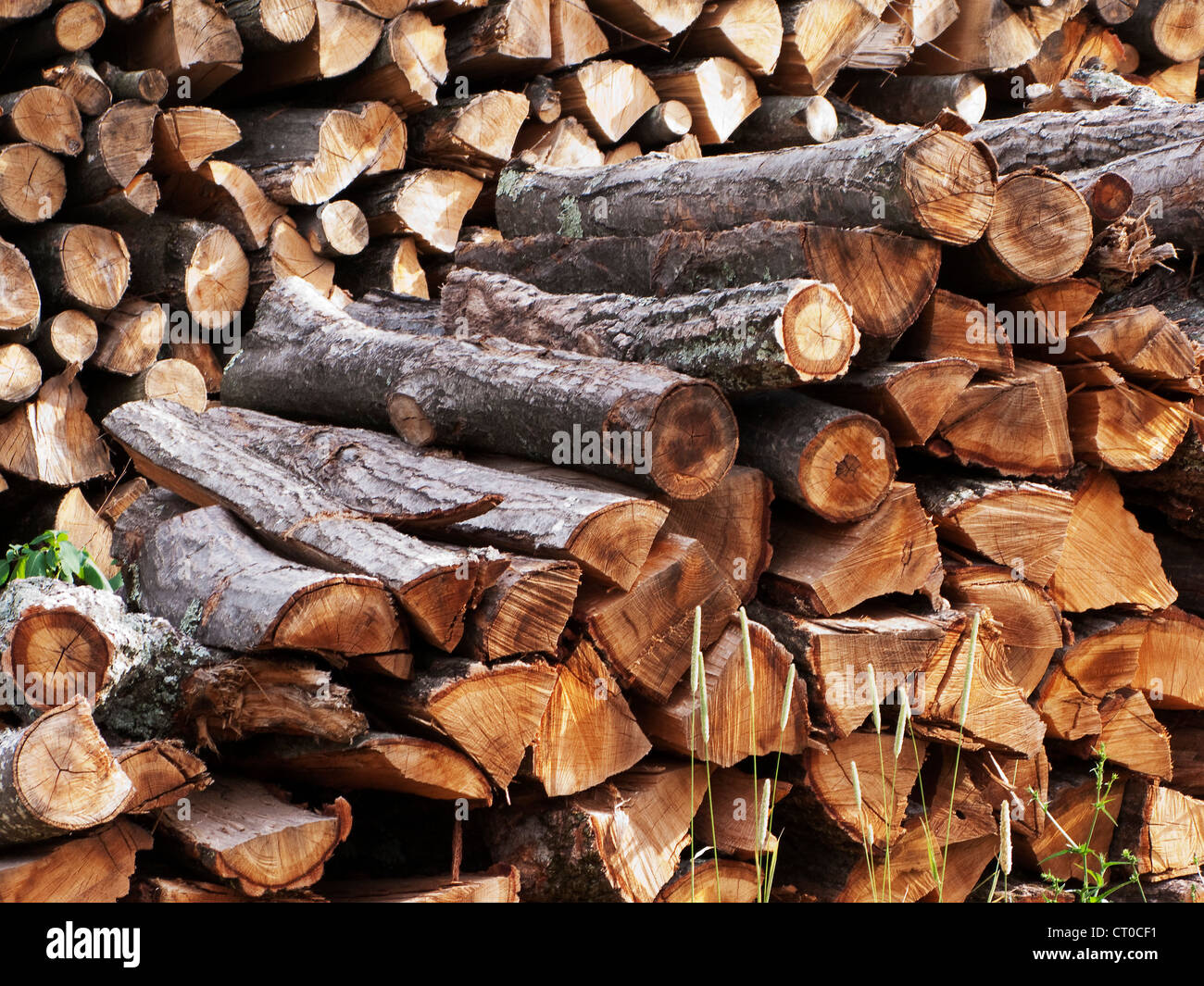outdooor large stack of firewood Stock Photo Alamy