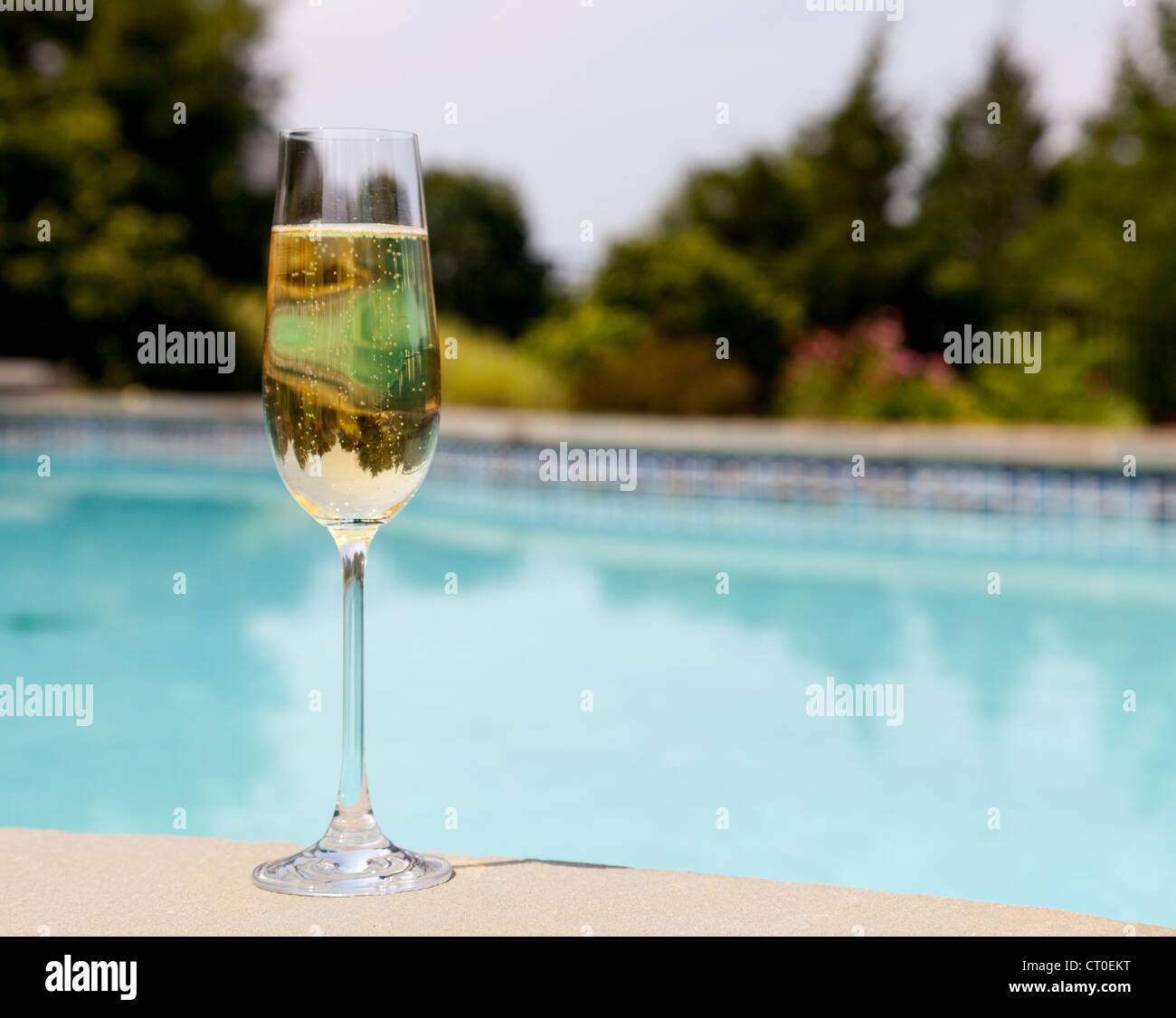Elegant flute glass of sparkling white wine or champagne by side of swimming pool Stock Photo