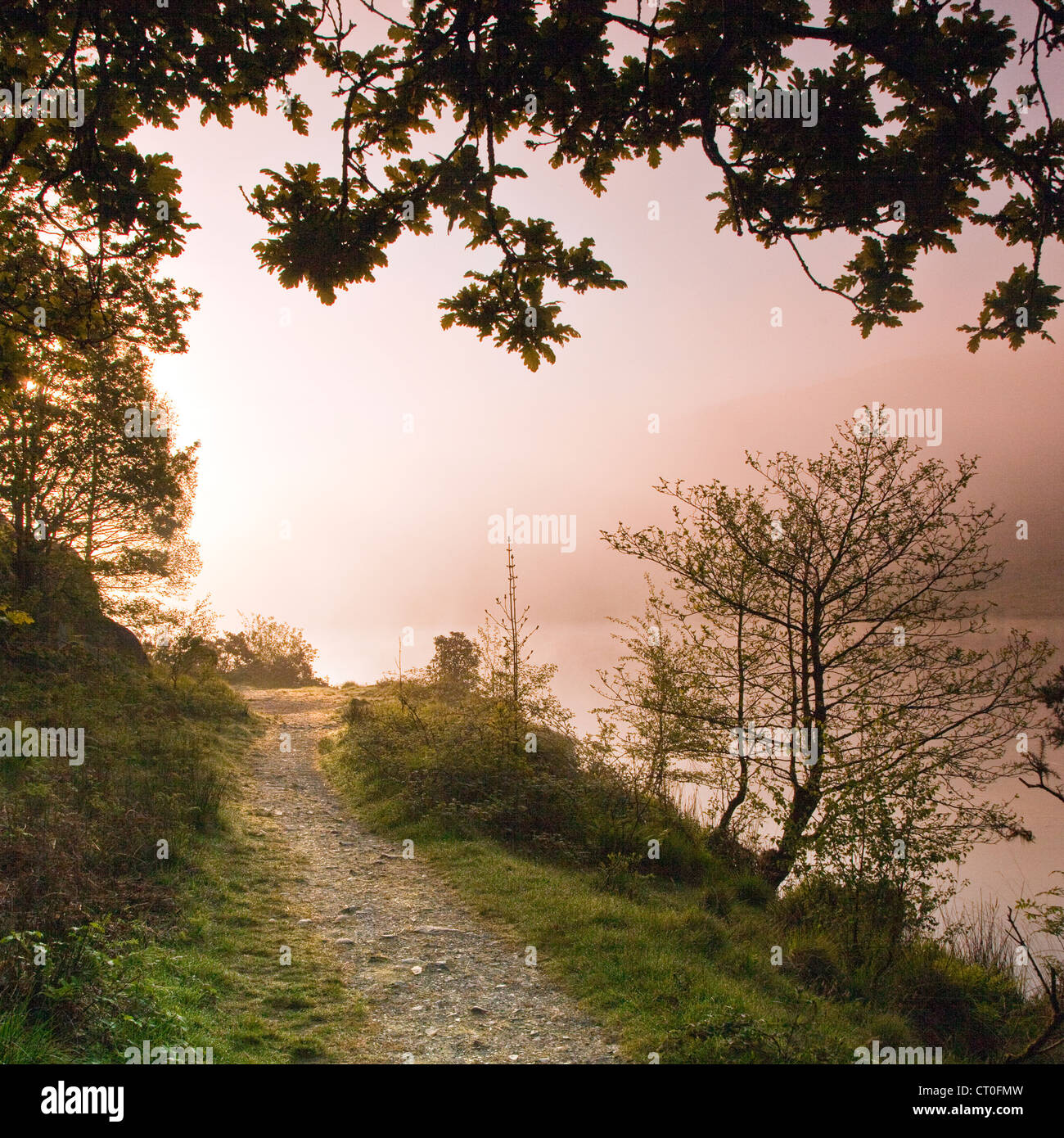 Misty Dawn south east corner of Llyn Dinas Lake in the Nantgwynant Valley Snowdonia National Park Gwynedd North Wales UK, Late S Stock Photo