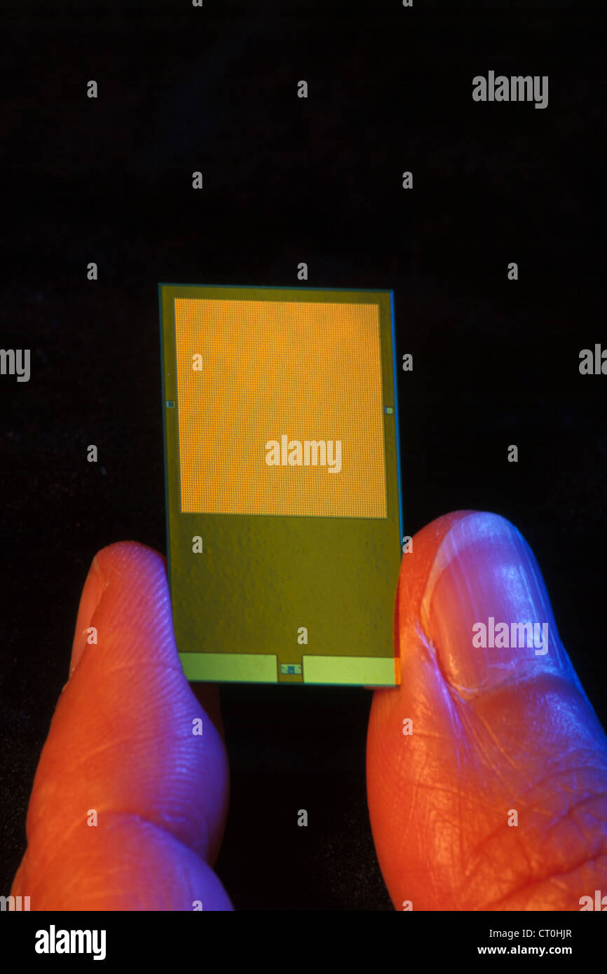 DNA CHIP Stock Photo