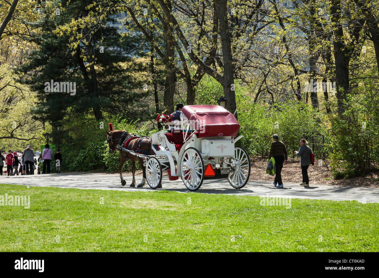 Green horse and carriage hi-res stock photography and images - Alamy