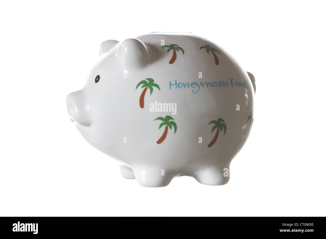 tropical Honeymoon piggy bank on white background Stock Photo