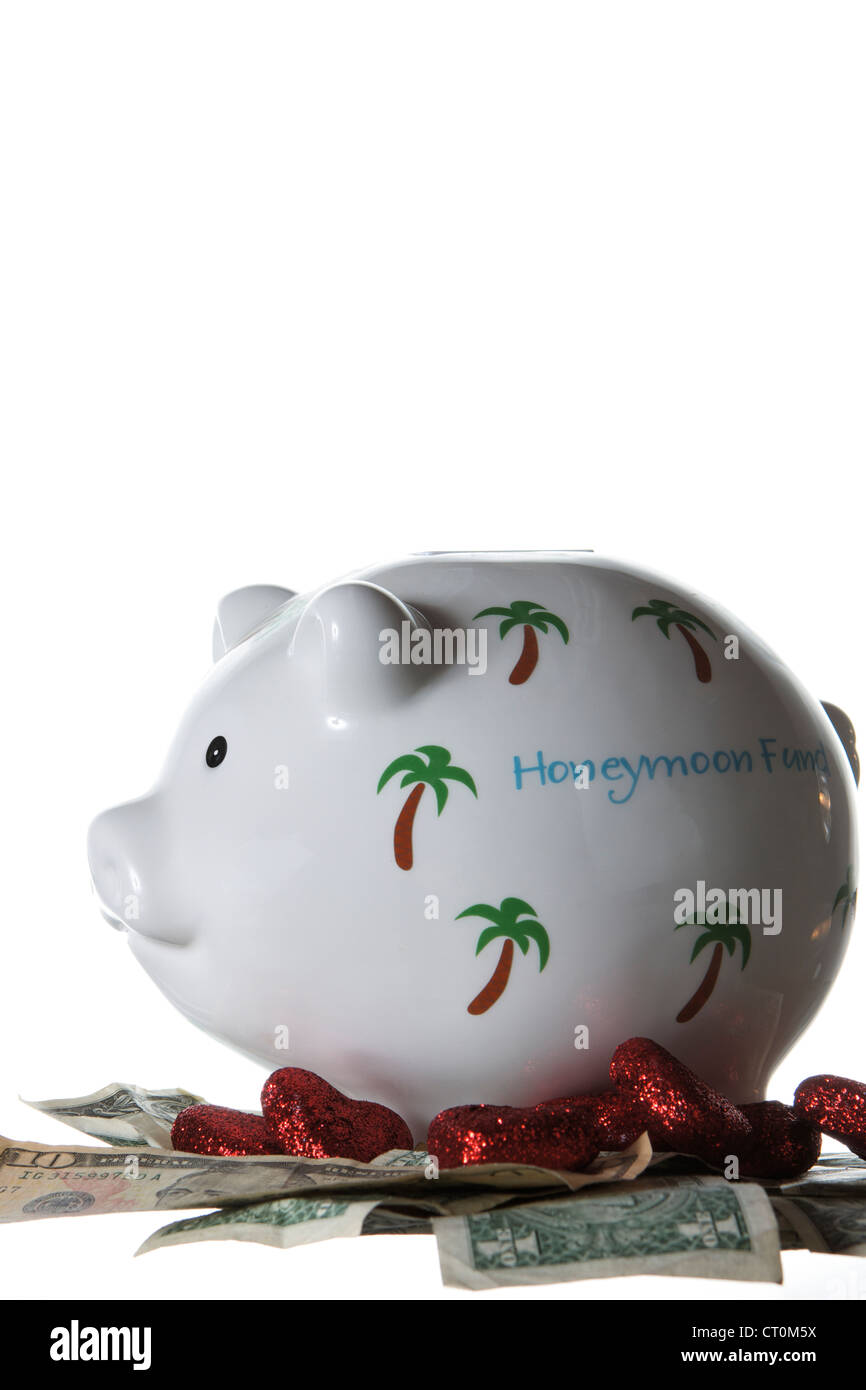 tropical Honeymoon piggy bank on a white background Stock Photo