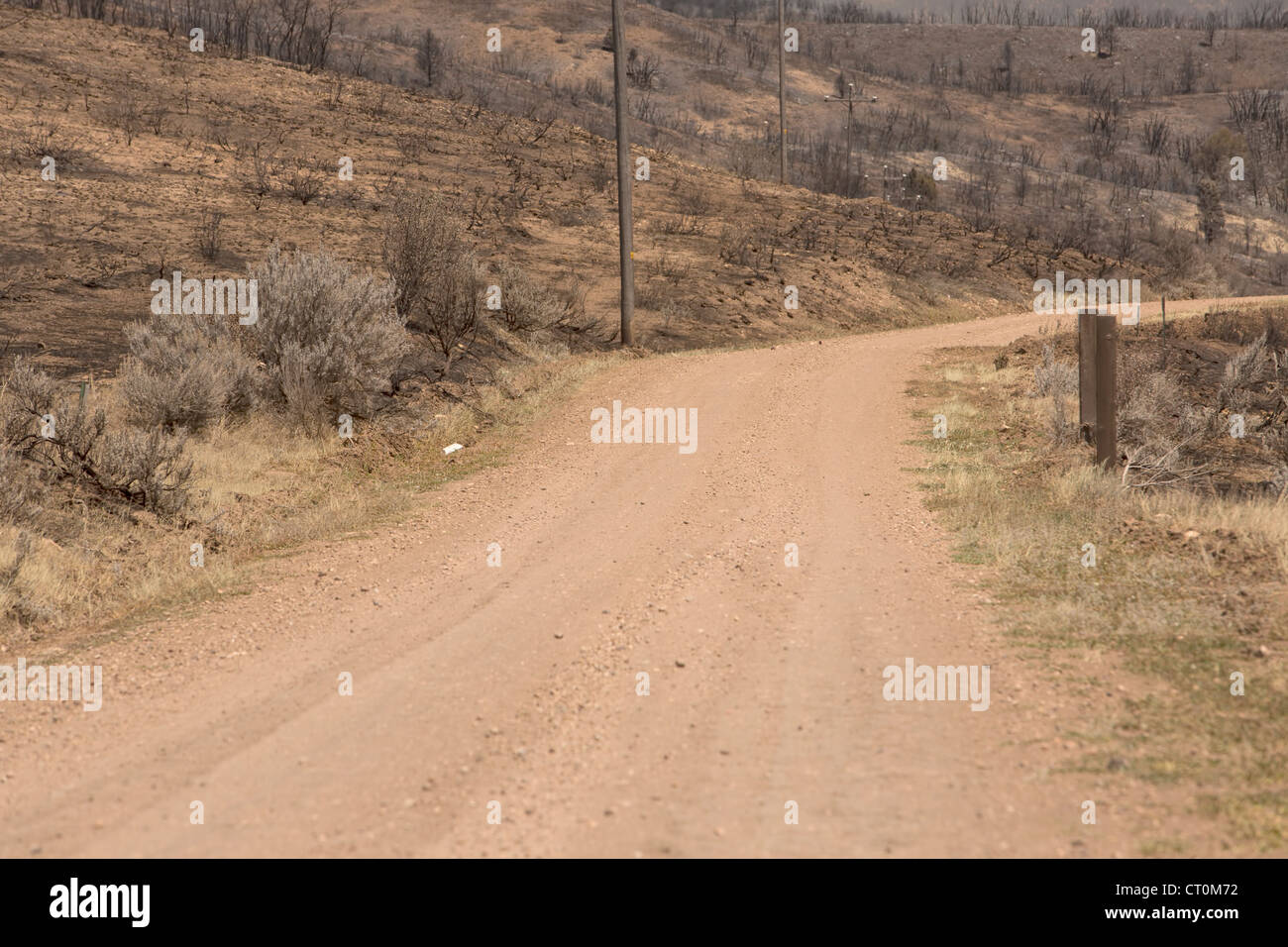 The aftermath of a wildfire which destroyed homes, cabins and buildings in a mountainous area of Utah, USA. Stock Photo