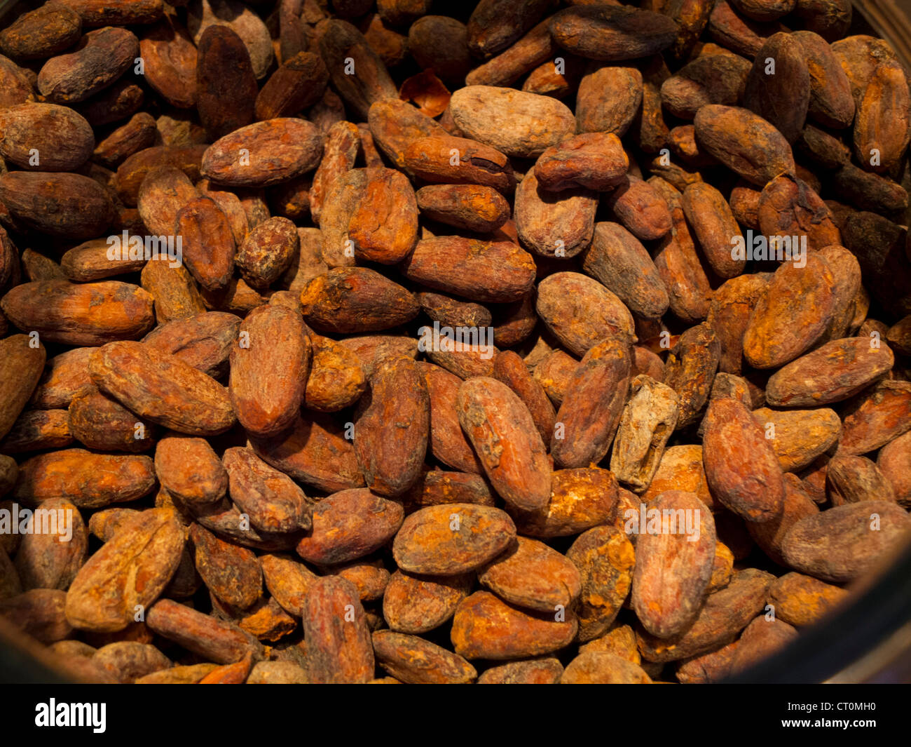 Taza chocolate tour in Boston MA Stock Photo Alamy