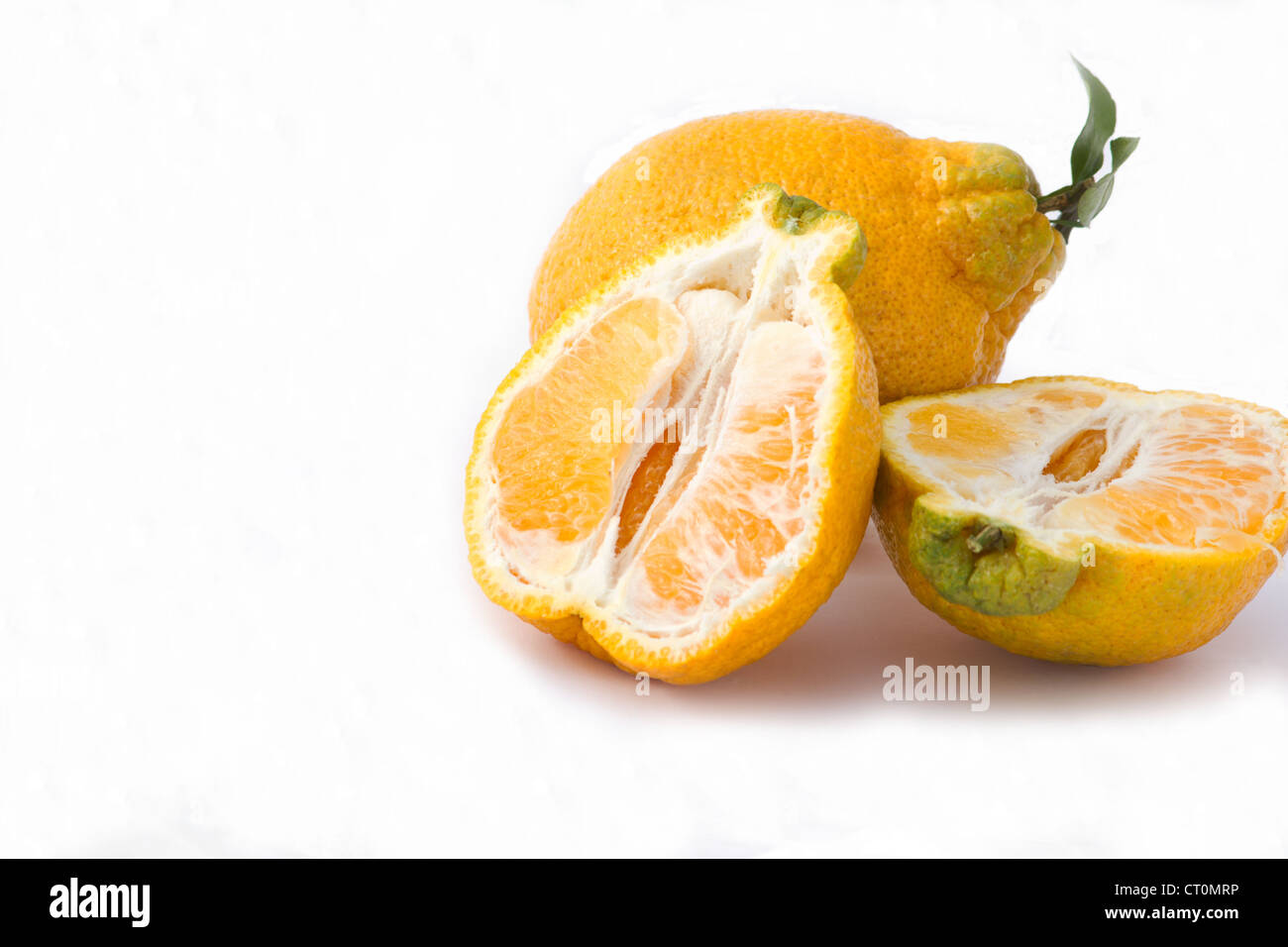 Cut citrus fruits orange hi-res stock photography and images - Alamy