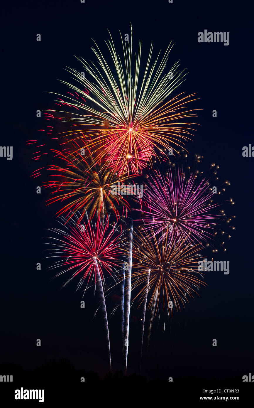 Spectacular fireworks explosions paint the night sky with color and light! Stock Photo