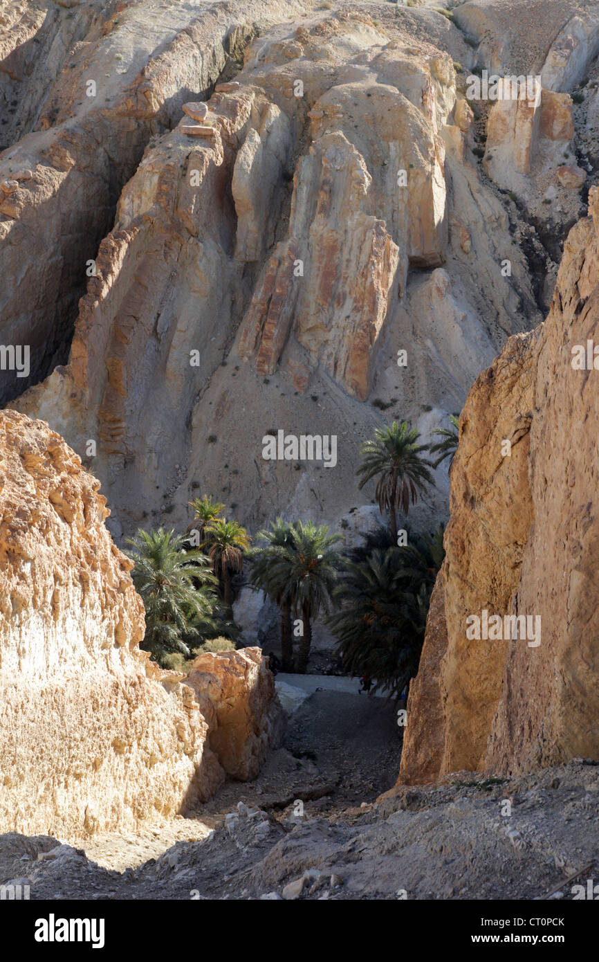 Mountain Oasis Chebika At Border Of Sahara Tunisia Stock Photo Alamy