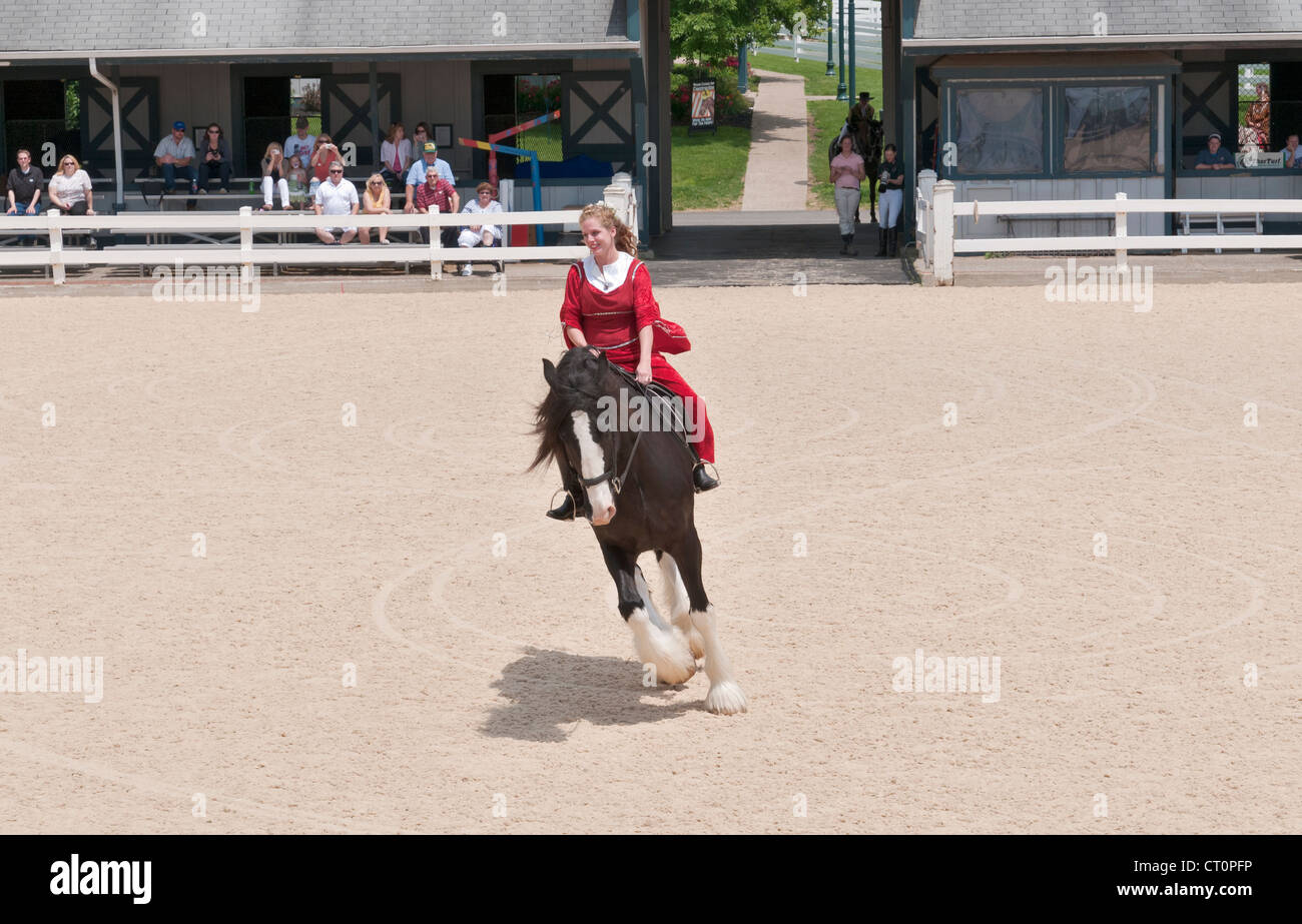 Kentucky, Lexington, Kentucky Horse Park, The National Horse Center