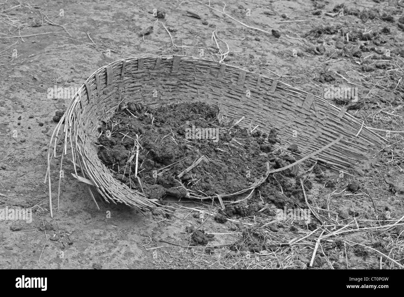 cow dung on Broken Bamboo Basket, India Stock Photo