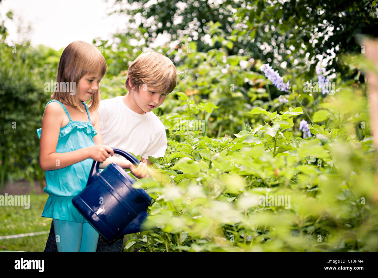 Children Working In The Garden Stock Photo Alamy Children Working In The Garden Stock Photo Alamy