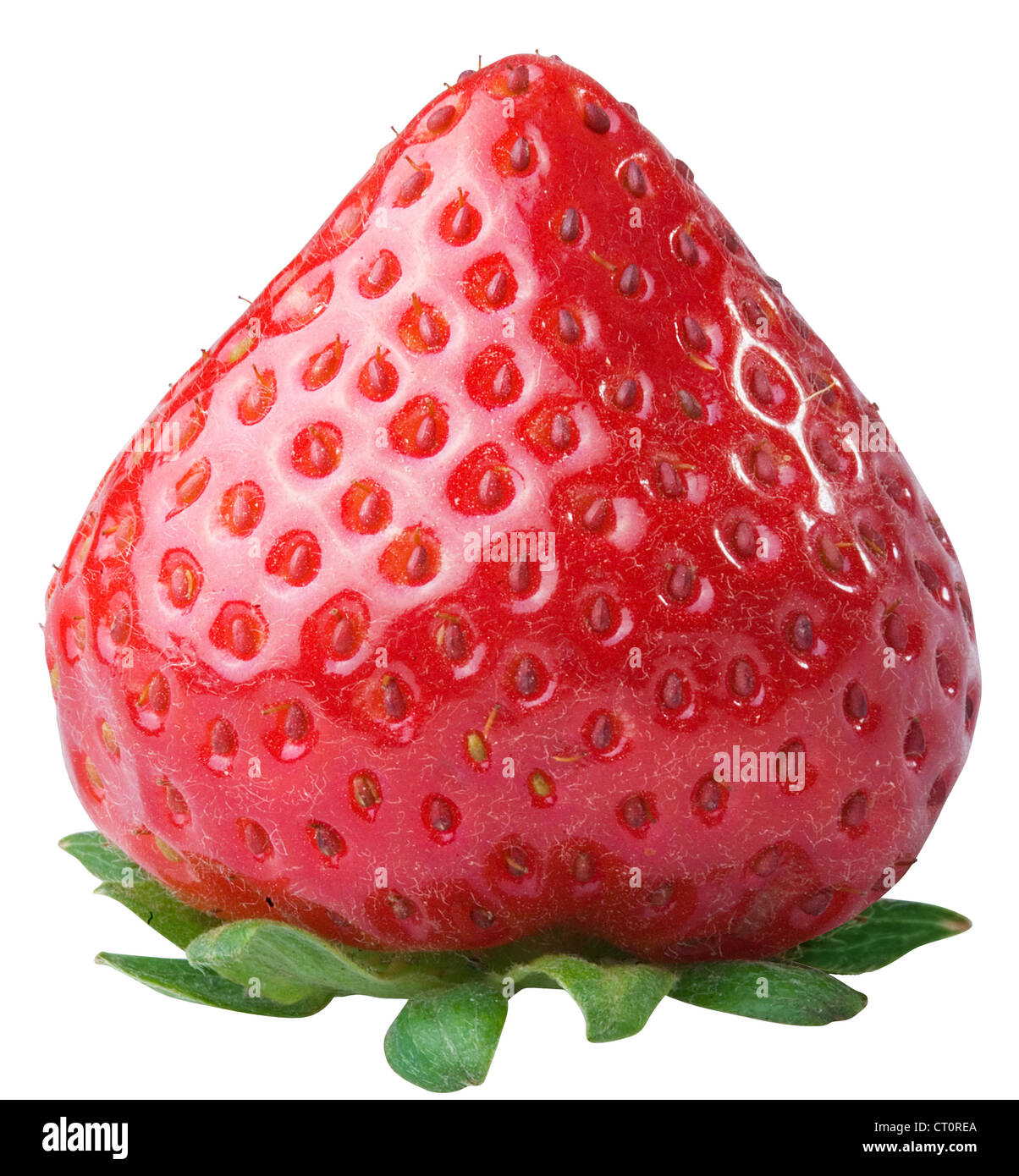 Appetizing one strawberry. File contains the path to cut. Stock Photo