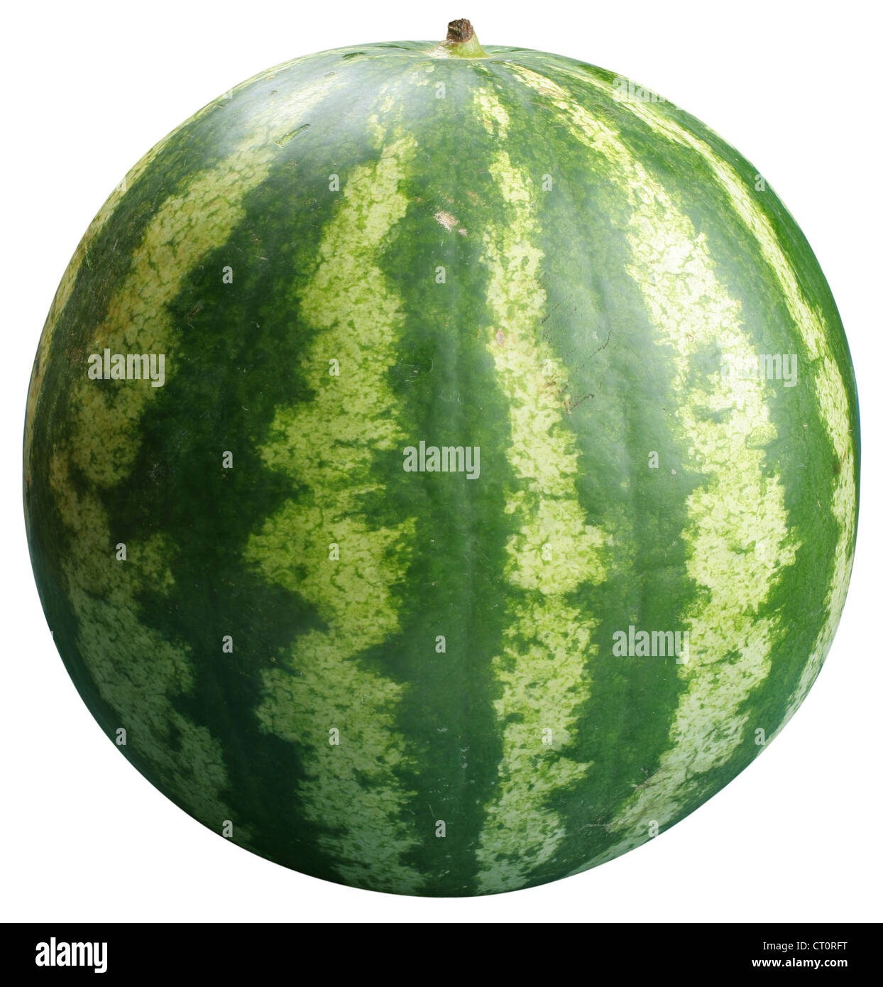 Watermelon on a white background. File contains the path to cut Stock ...