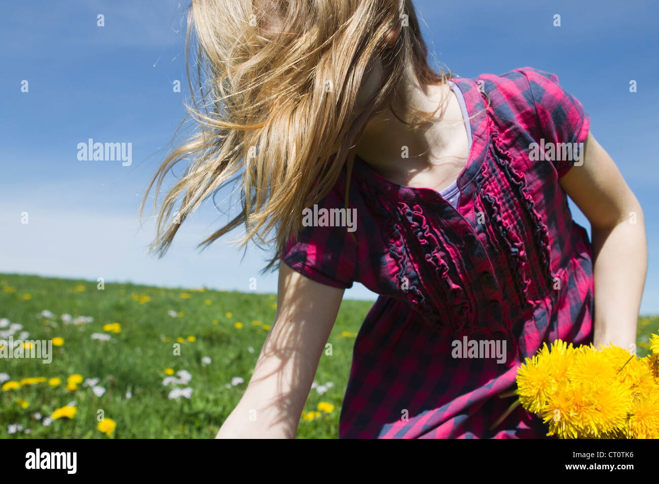 Girl picking wildflowers in field Stock Photo Alamy