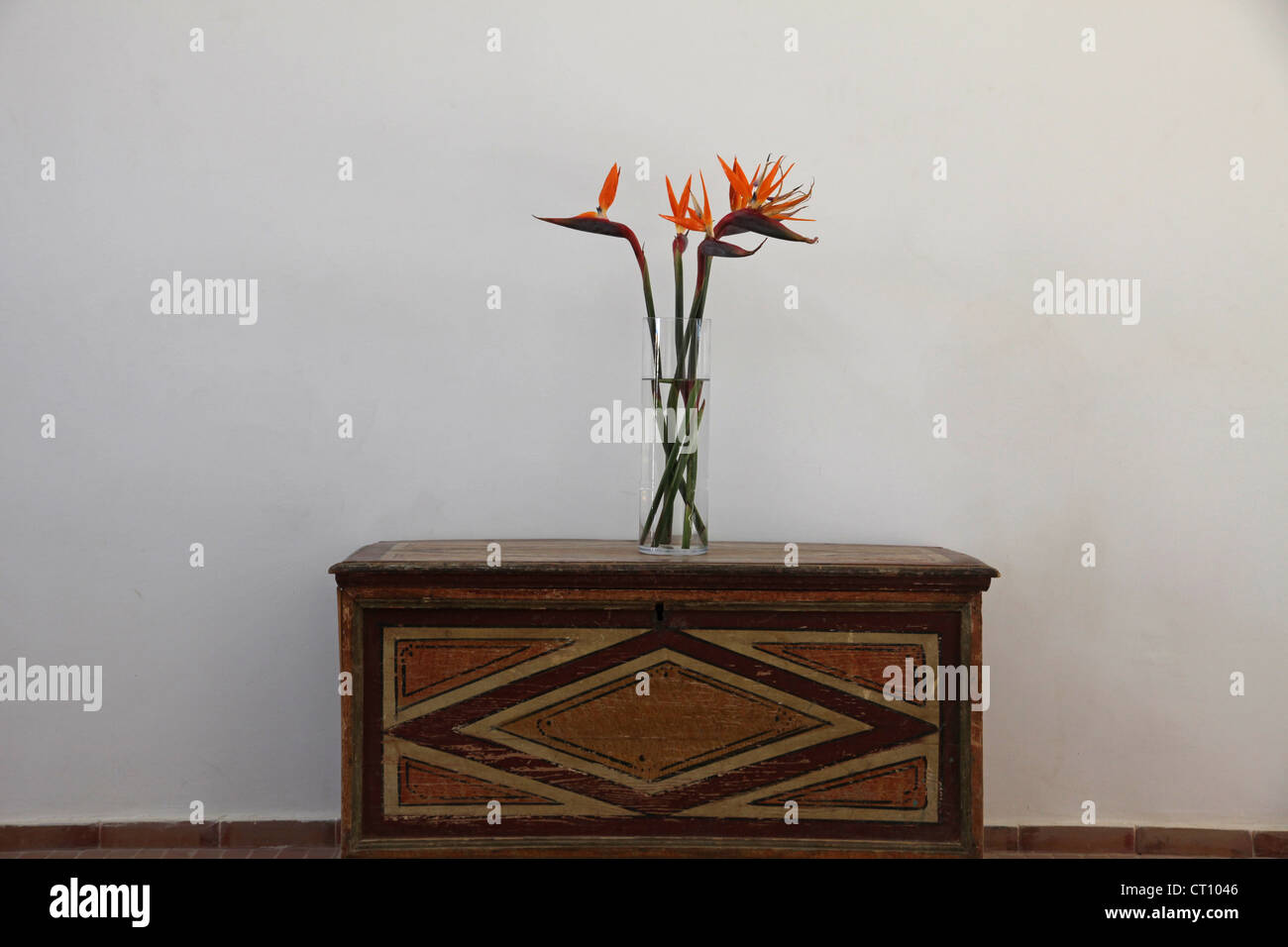 Strelitzia flower in the hotel lobby Stock Photo - Alamy