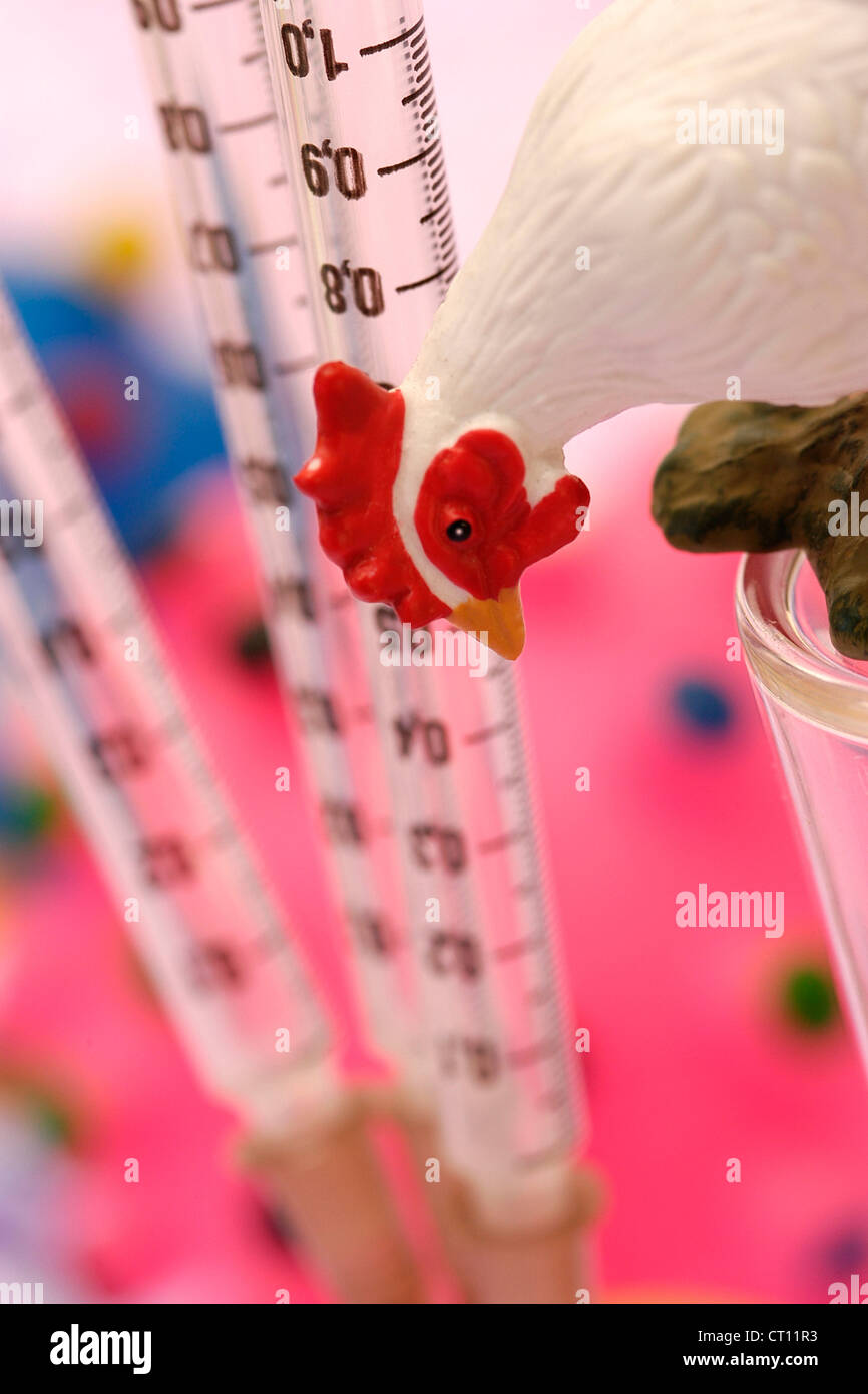AVIAN INFLUENZA VACCINE Stock Photo - Alamy