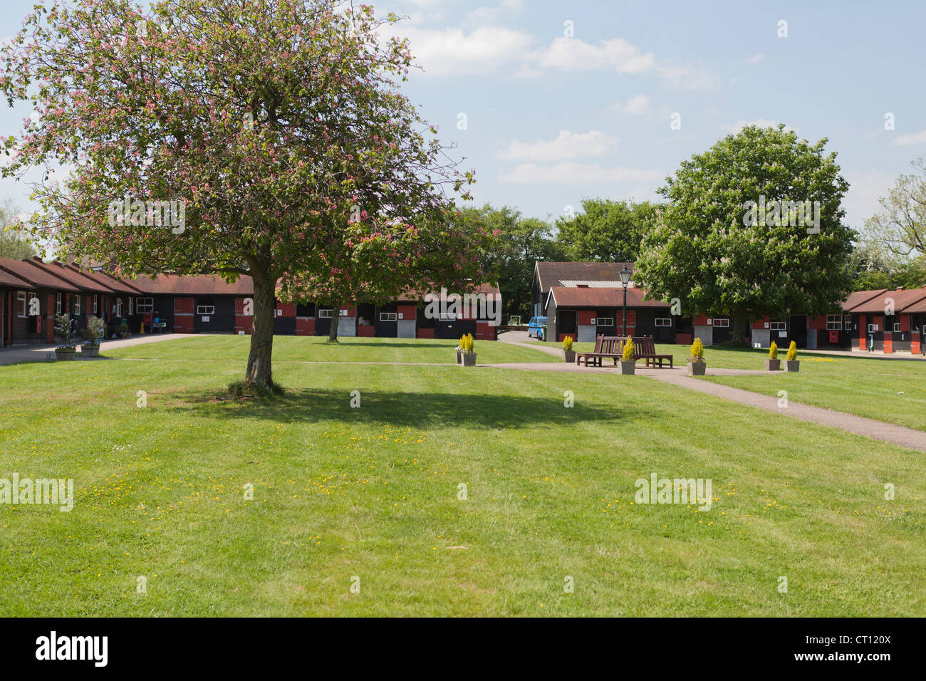 Satble hires stock photography and images Alamy