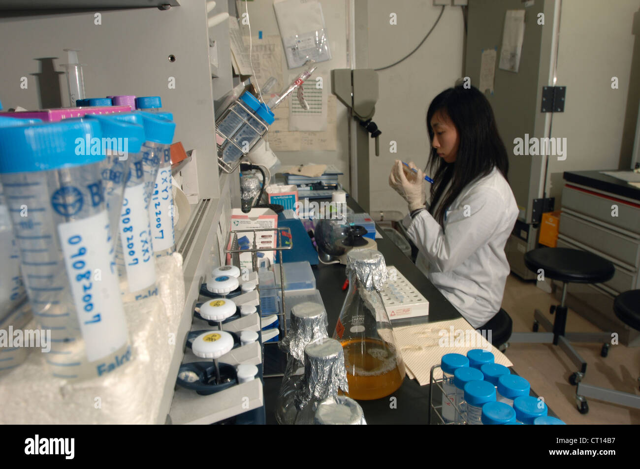 Technician looking at adult stem cells Stock Photo