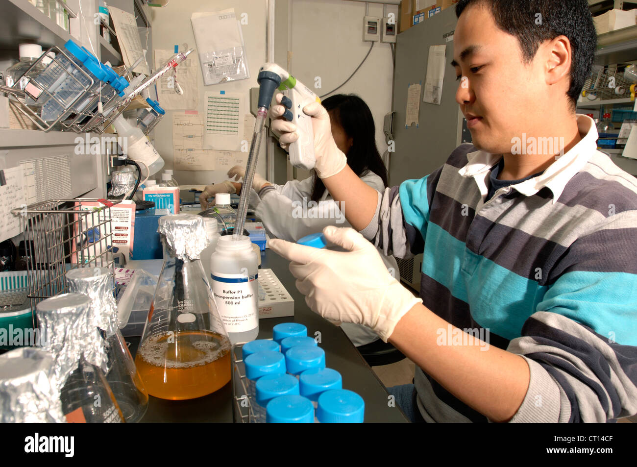 Technician working with adult stem cells Stock Photo