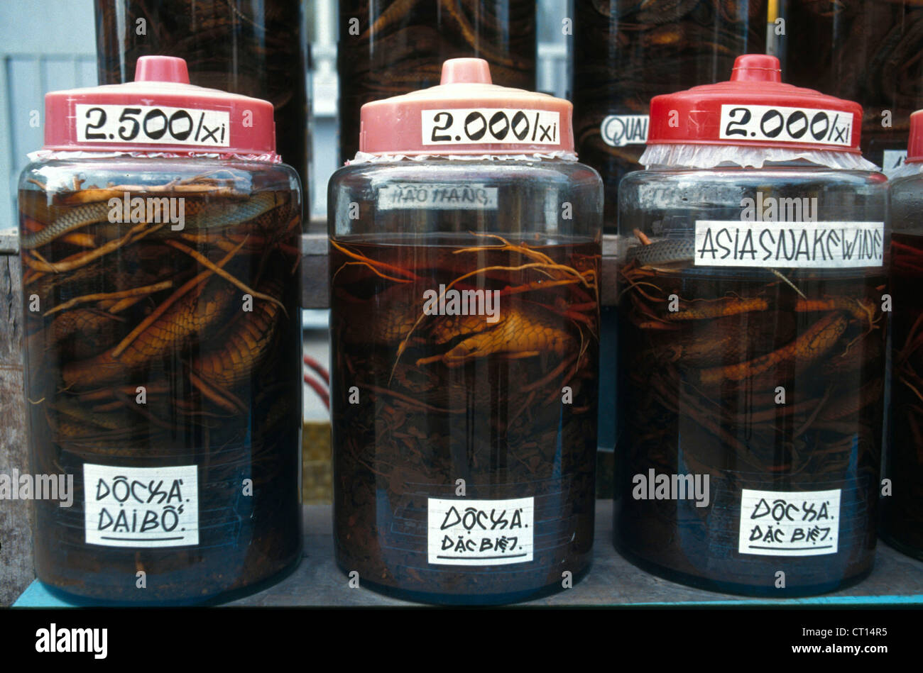 MEDICINE IN VIETNAM Stock Photo Alamy