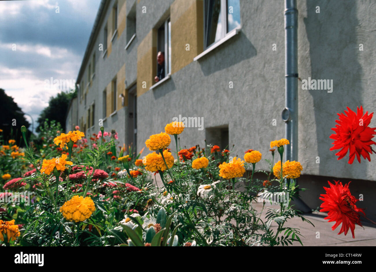 Recklinghausen, flowerbed, modernized Mehrfamilienhaeuser Stock Photo