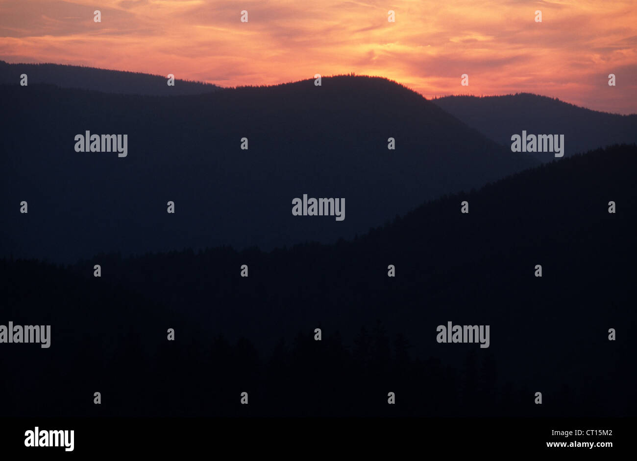 Evening sunset in the Black Forest Stock Photo - Alamy