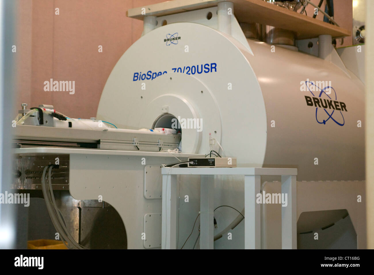 PET CT scan mouse Stock Photo 49199460 Alamy