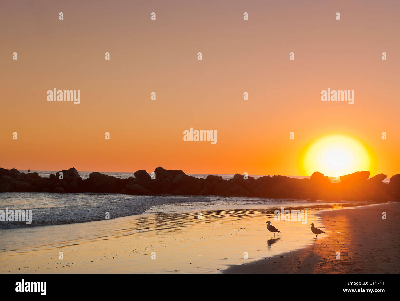 Silhouette of rocks on beach at sunset Stock Photo