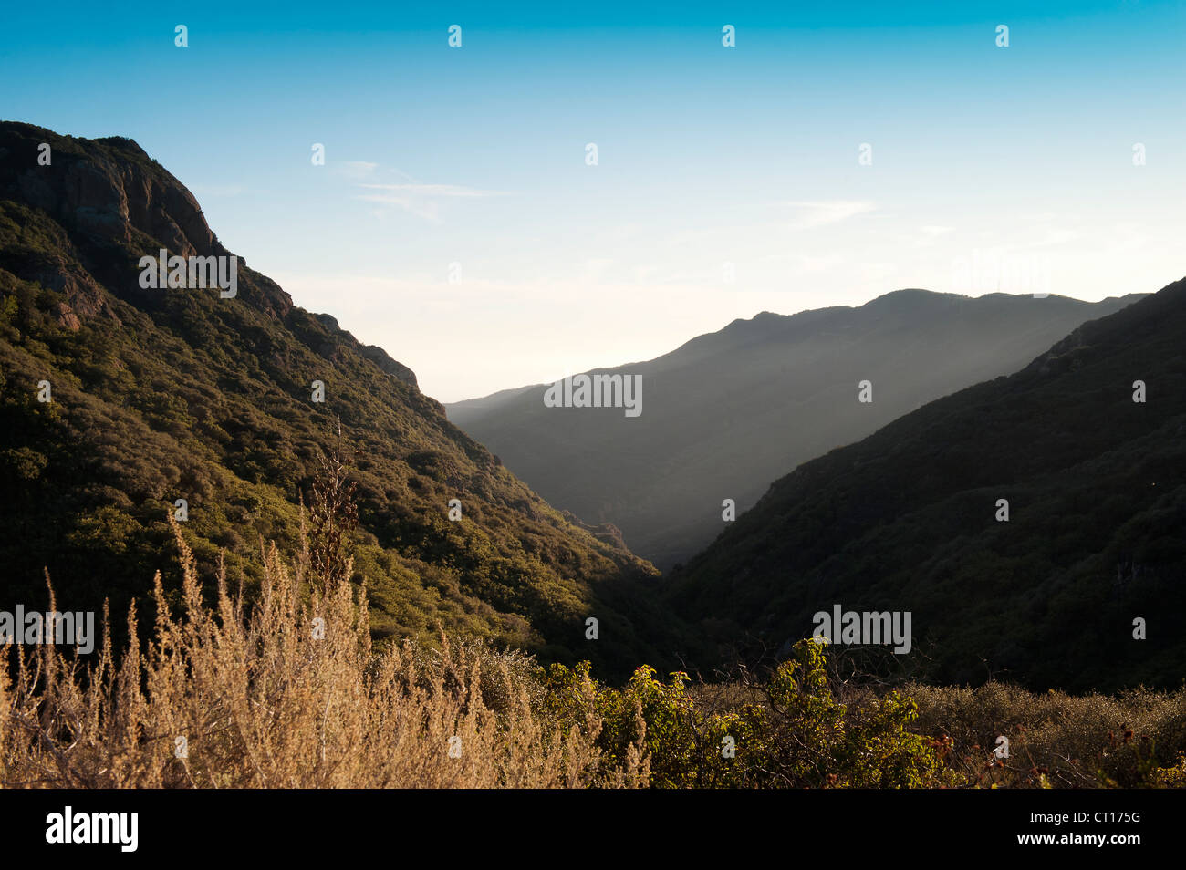 Plants growing on hillsides in valley Stock Photo