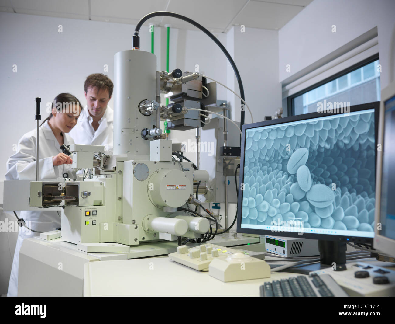 Scientists working with equipment in lab Stock Photo