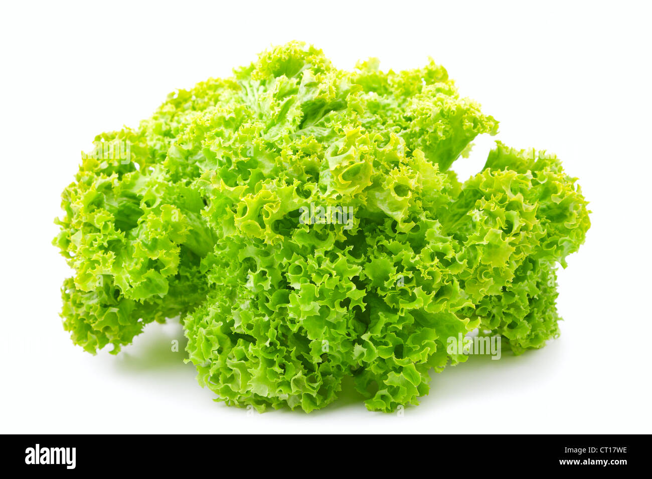 Isolated Lettuce Hi Res Stock Photography And Images Alamy