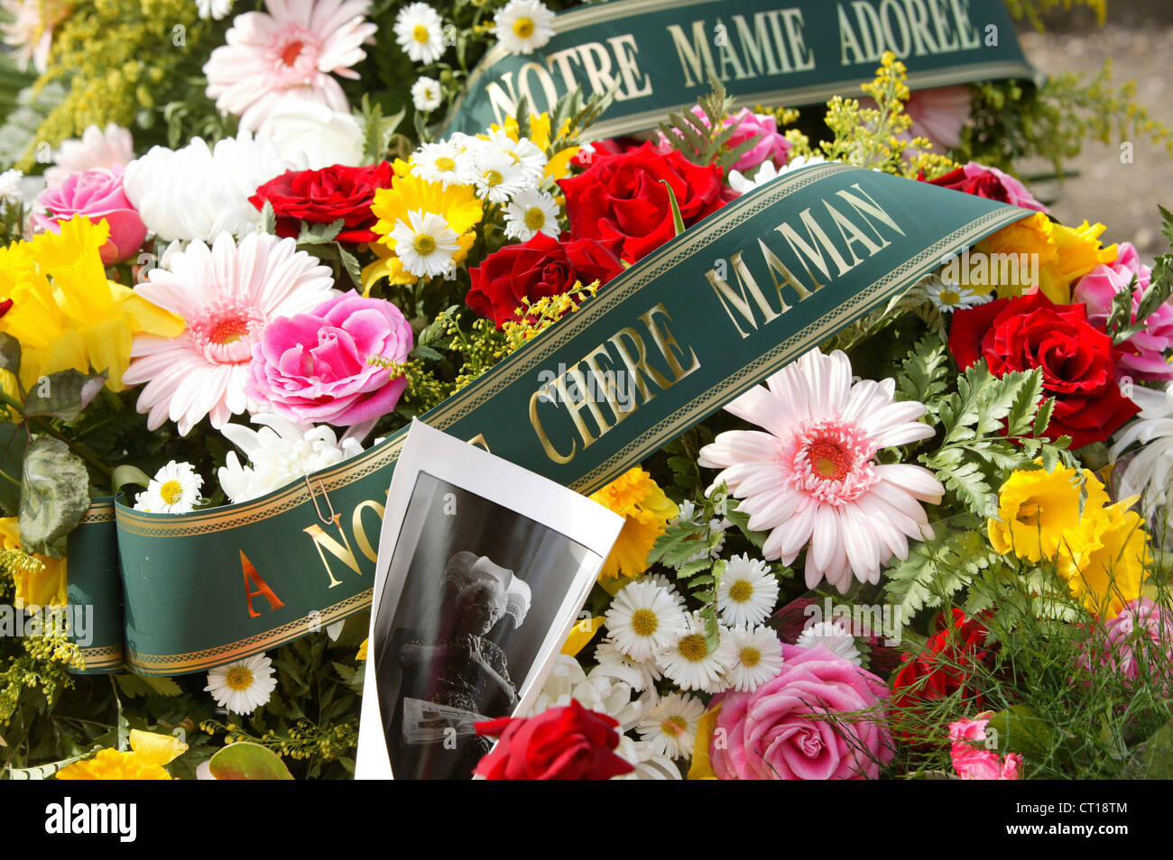 Life in cemetery hi-res stock photography and images - Alamy