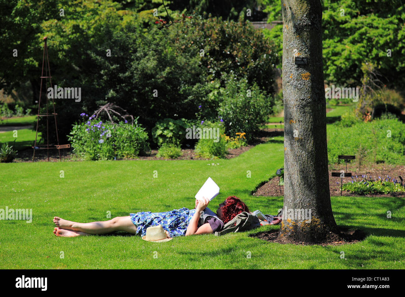 Student reading on the grass in Botanical Garden, Oxford, Oxfordshire, England Stock Photo