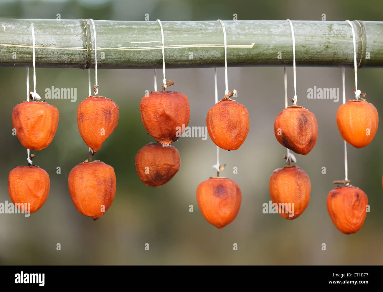 kaki fruit drying hanging on bamboo stick, Japan Stock Photo Alamy