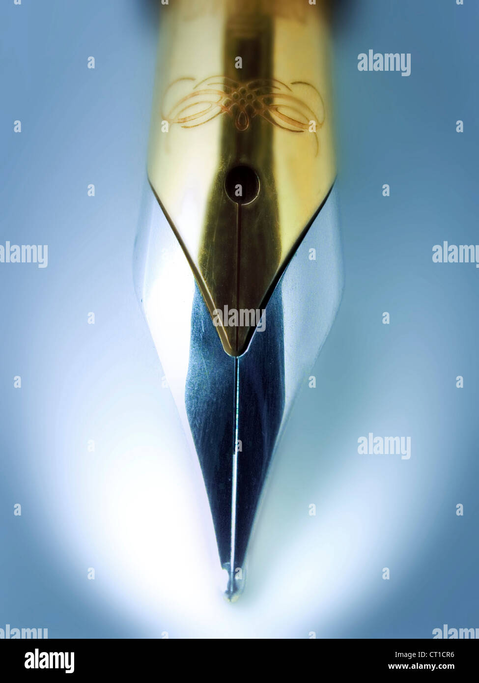 Fullfeder High Resolution Stock Photography And Images Alamy Fullfeder High Resolution Stock Photography And Images Alamy