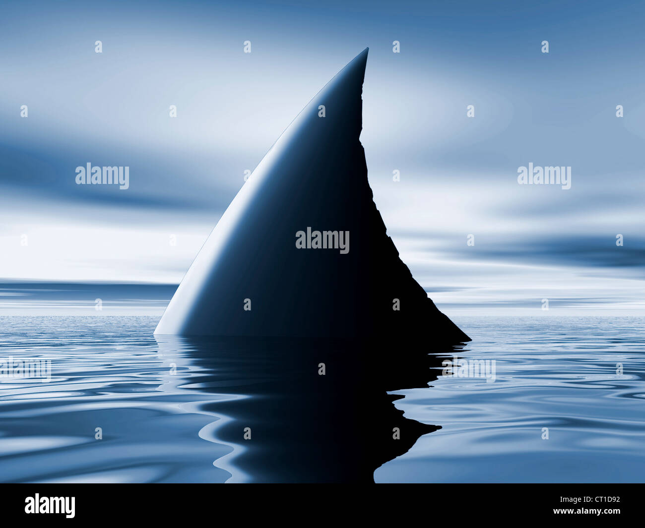 sharks fin on the surface of calm blue sea Stock Photo