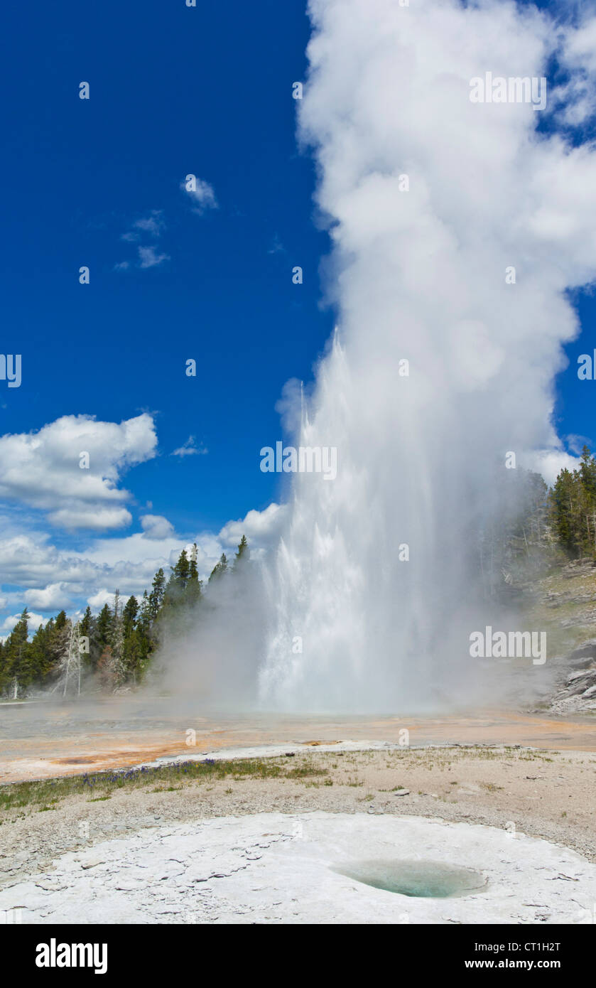 the eruption of grand geyser upper geyser basin yellowstone national park wyoming usa united states of america Stock Photo
