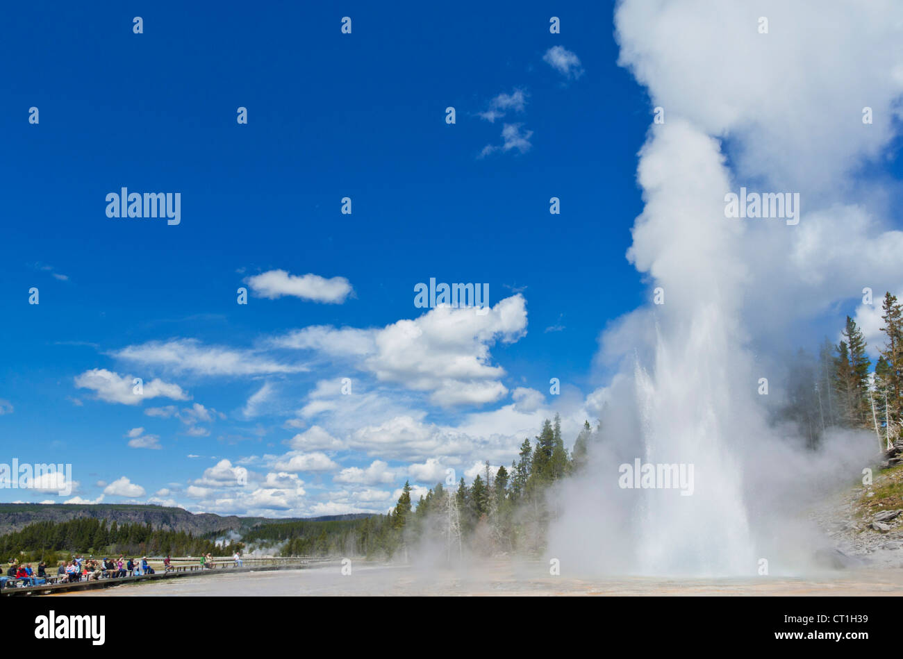 people watching the eruption of grand geyser upper geyser basin yellowstone national park wyoming usa united states of america Stock Photo