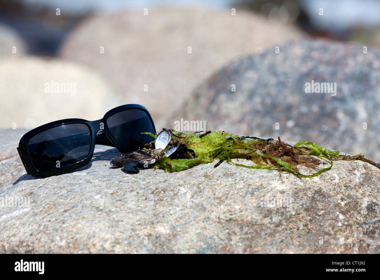 Sunglasses with dark tinted glasses lies on a rock on the coast Stock Photo