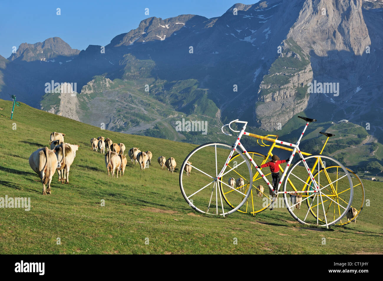 Herd of cows on mountain pasture and giant bicycle sculptures at the Col d'Aubisque, Pyrénées-Atlantiques, Pyrenees, France Stock Photo
