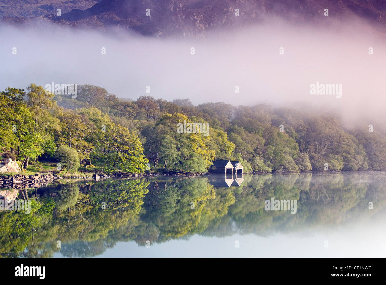 Boathouse on tree lined north western shore of a misty Llyn Dinas Lake in the Nantgwynant Valley Snowdonia North Wales Stock Photo