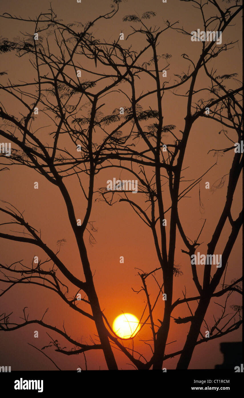 Pointing at the sunset hi-res stock photography and images - Alamy
