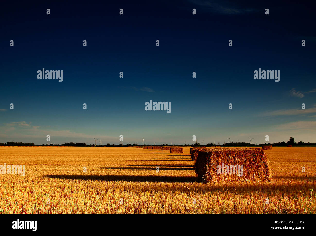 Hay Bales at sunset in Essex County, Ontario Stock Photo