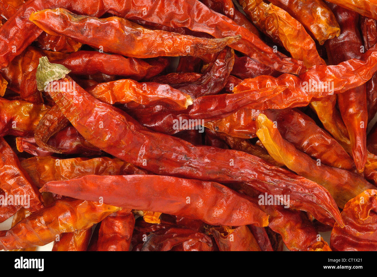 Hot Pepper Capsicum Sp High Resolution Stock Photography and Images - Alamy