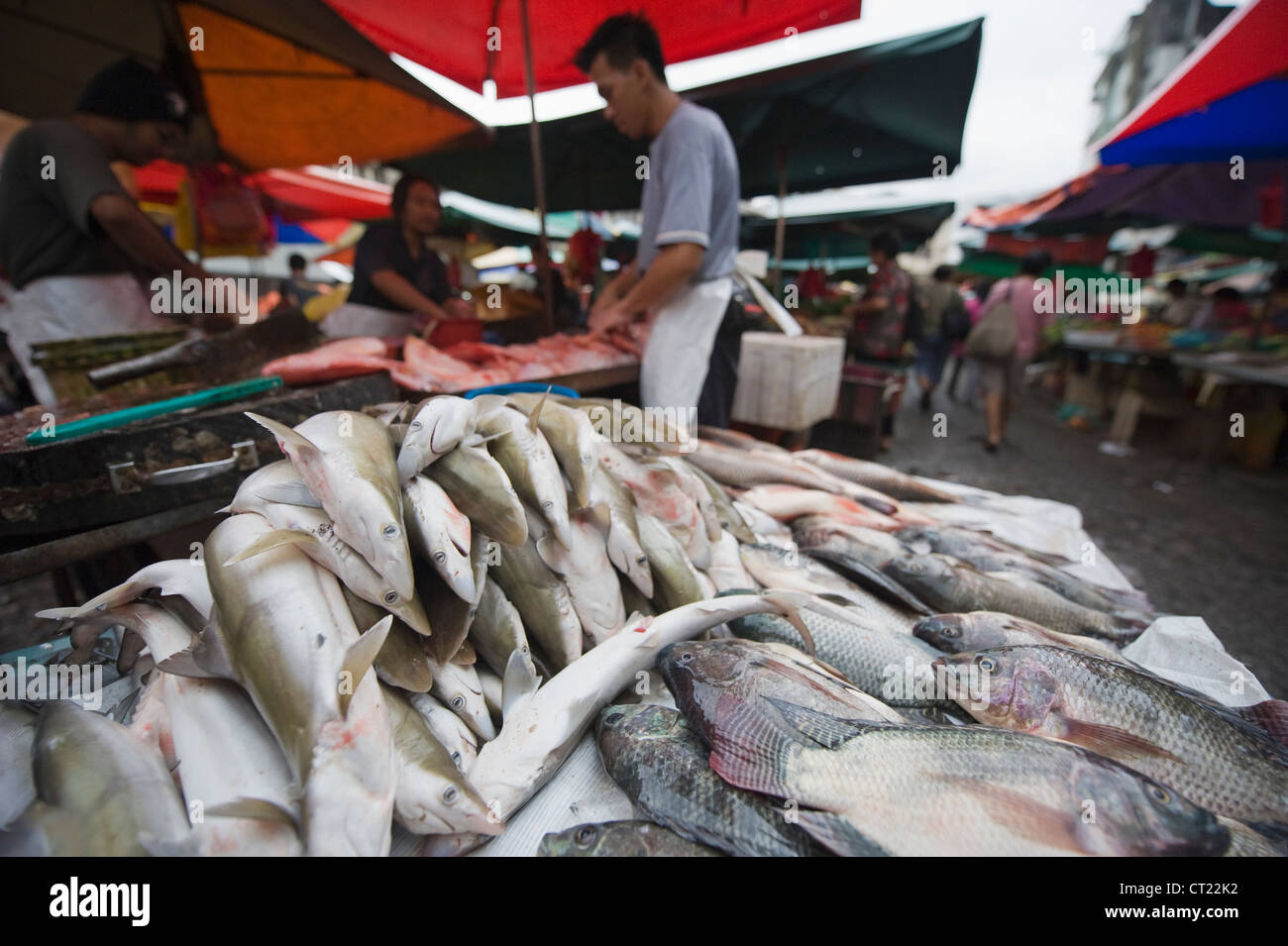shark at Pudu wet market, Kuala Lumpur, Malaysia, South East Asia Stock Photo