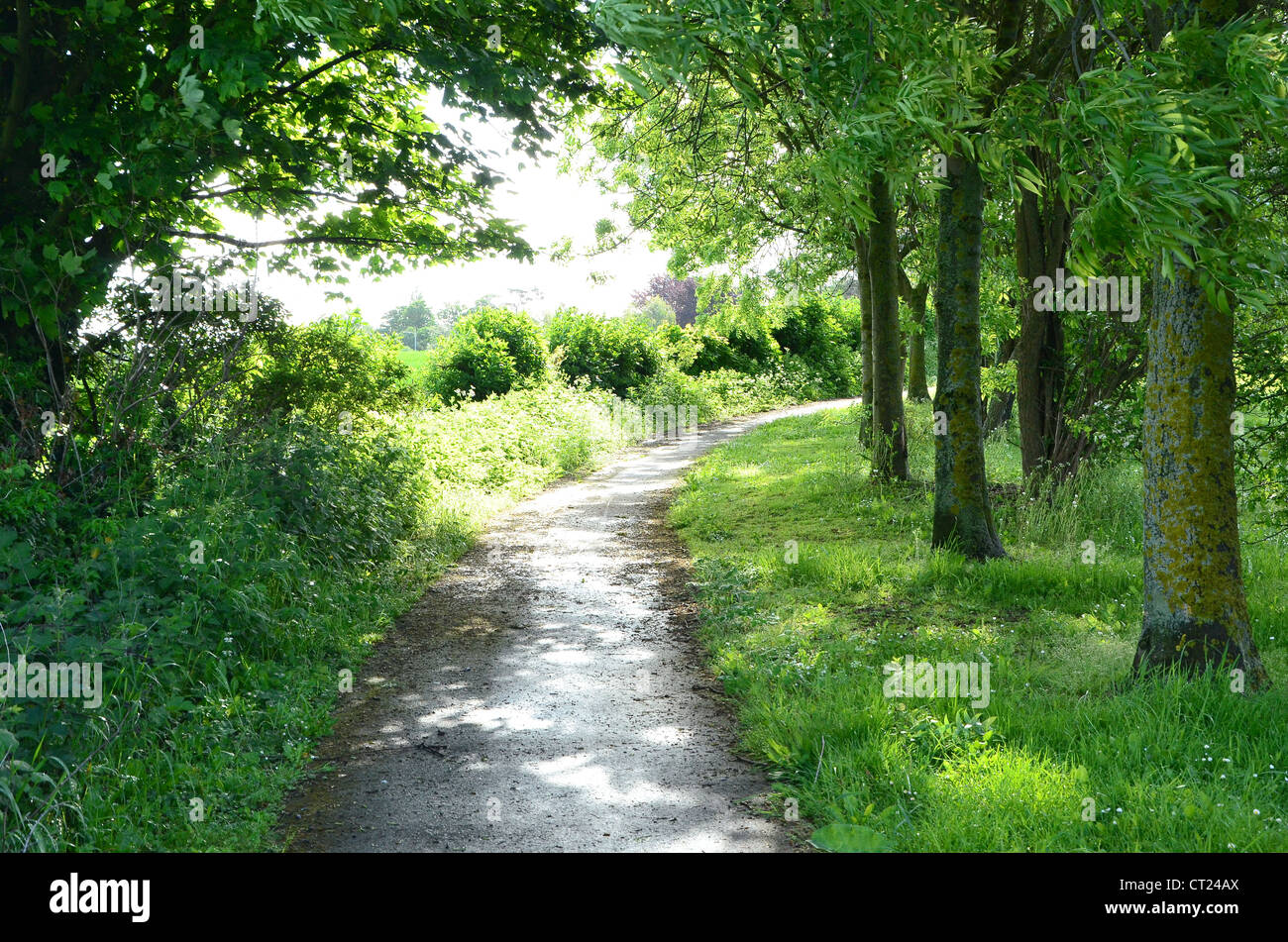 A country walk in England, Beverley, Yorkshire, United Kingdom Stock Photo