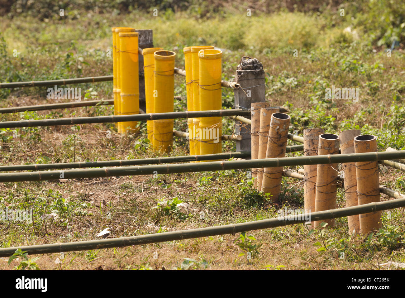 fireworks mortar tubes set up in field Stock Photo Alamy
