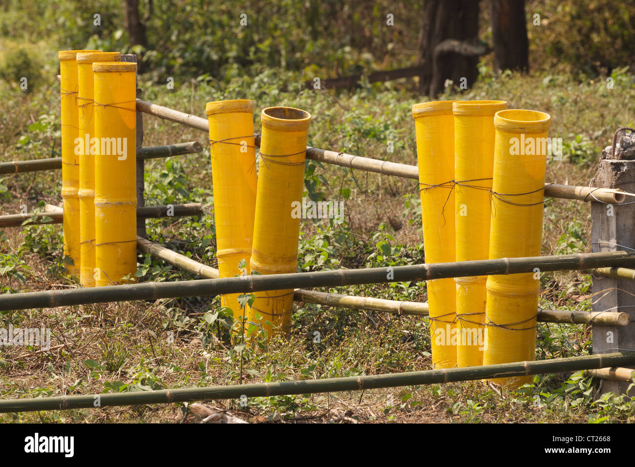 fireworks mortar tubes set up in field Stock Photo Alamy