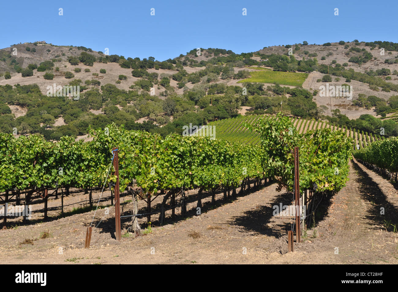 Napa Valley Winery in California Stock Photo