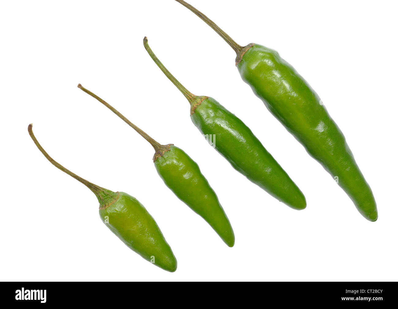 Green hot chili peppers pattern Stock Photo